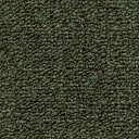 Ковролин Radici Trotter Foresta 2405  | FLOORDEALER